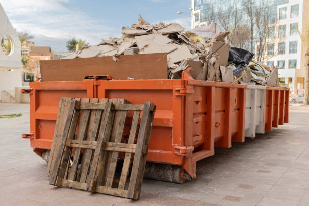Best Dumpster Rental Services  in Blue Ridge, GA